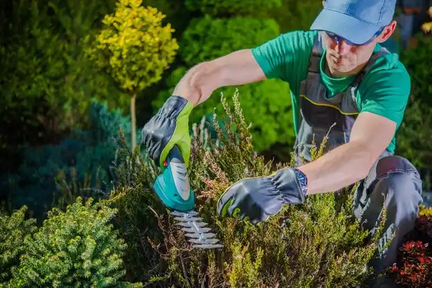 landscaping services Burgin